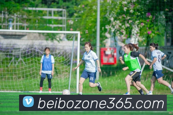 多媒体互动体验